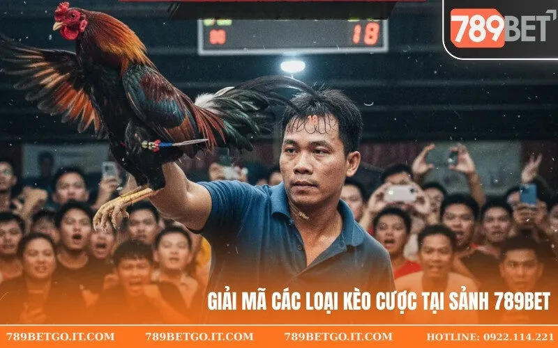 Giải Mã Các Loại Kèo Cược Tại Sảnh 789bet