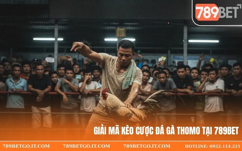 Giải mã kèo cược Đá Gà Thomo tại 789Bet