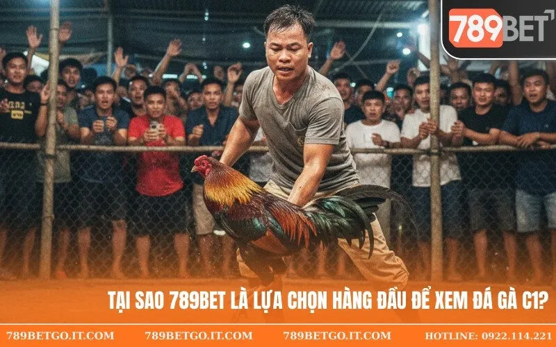 Tại sao 789bet là lựa chọn hàng đầu để xem Đá Gà C1